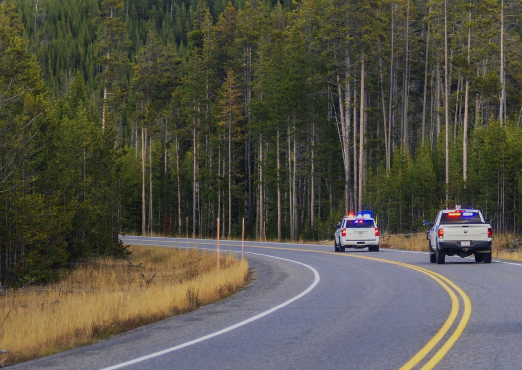 Police cars on a forest road, highlighting T-Mobile's Connecting Heroes in the U.S.